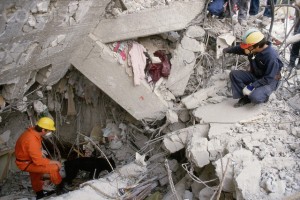 Rescue Workers in Earthquake Rubble