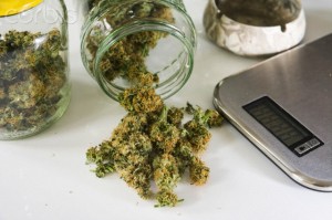 Studio, Marijuana drugs with digital scale on white background, close up