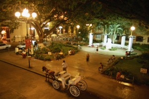 Horse Drawn Carriage