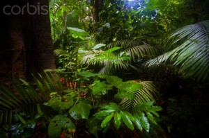 Rurrenabaque, Beni, Bolivia