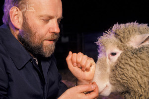 Dolly Scientist Dr. Ian Wilmut Gets Human Cloning License
