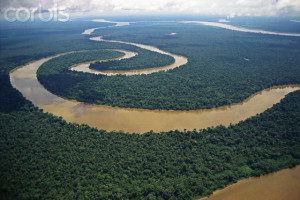 Meandering Tigre River
