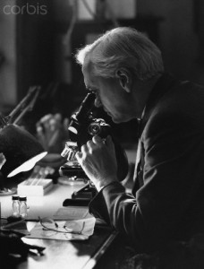 Alexander Fleming at Work