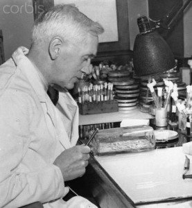 Alexander Fleming Performing Experiment