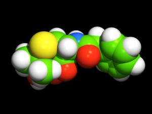 Computer model of a molecule of penicillin G