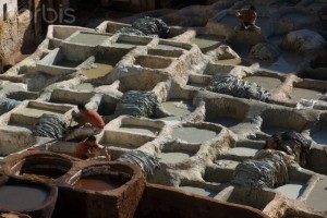 Tannery, Fes, Morocco
