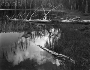 Siesta Lake in Yosemite National Park