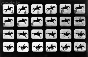 Horse Leaping in a Series of Photos