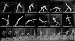 Animal Locomotion. Plate 365. Man doing forward gymnastics flip; 24 frames of front and side views photo by Eadweard Muybridge, c1887 lot 3309 aerobat