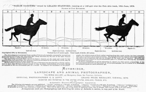 Diagram of a Horse in Motion by Eadweard Muybridge