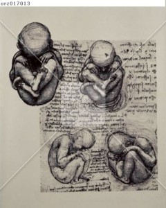 Credit: Album / Oronoz