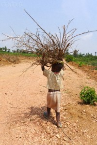 Girl Carrying Bundle of Sticks, Rwanda