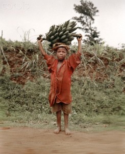 Boy (6-7) carrying banana bunch, Rwanda