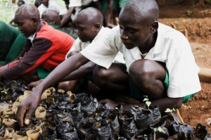 Gardening in Africa