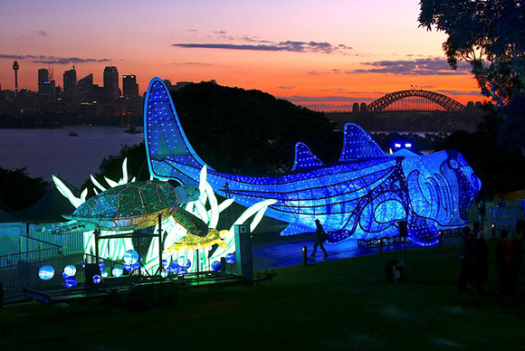 The Sydney Harbour Bridge can be seen behind a visitor at a preview of Taronga Zoo's illuminated endangered animal sculptures walking past the Port Jackson shark and green turtle display at sunset, which is part of Vivid Sydney Festival of Light and Sound, which will begin on May 26 with many of Sydney's landmarks participating in the annual event, in Sydney, Australia May 21, 2017. REUTERS/David Gray TPX IMAGES OF THE DAY