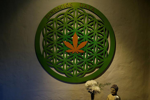 Chile's pro-cannabis Daya Foundation logo is seen inside their headquarters in Santiago, Chile May 19, 2017. Picture taken May 19, 2017. REUTERS/Ivan Alvarado