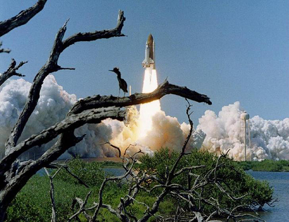 File photo showing the space shuttle Columbia as it lifts off from launching pad 39A at the Kennedy Space Center on April 4, 1997, while an egret sits in a dead tree. The crew of seven astronuauts spent 16 days in space on a research mission. REUTERS/Pierre Ducharme JLS/GN