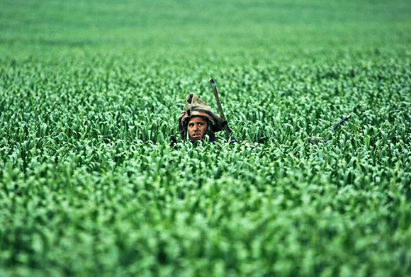  An Israeli soldier walks through a field near Kibbutz Nahal Oz, just outside the Gaza Strip Photo by Yannis Behrakis