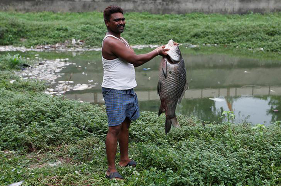 A man holds a dead fish from the polluted waters of Ghodasar lake in Ahmedabad, India. Photo by Amit Dave