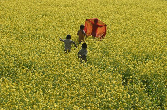  Children play in a mustard field at Mohini village, about 190 km (118 miles) south of the northeastern Indian city of Siliguri. Photo by Rupak De Chowdhuri