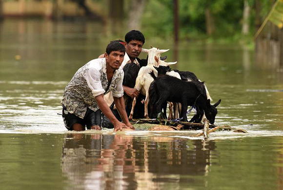 People use a makeshift raft to transport goats as they wade through a flooded road in Jakhalabandha area in Nagaon district, in the northeastern state of Assam, India, August 13, 2017. Photo by Anuwar Hazarika