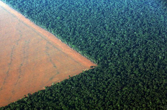 The Amazon rain forest (R), bordered by deforested land prepared for the planting of soybeans, is pictured in this aerial photo taken over Mato Grosso state in western Brazil Photo by Paulo Whitaker