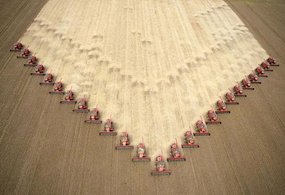 Workers harvest soybeans at a farm in Tangara da Serra, Mato Grosso state in western Brazi. Photo by Paulo Whitaker