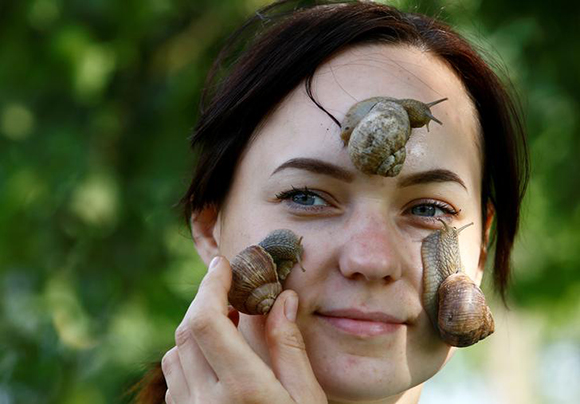 Victoria Rabkova, wife of the farmer Vladimir Rabkov, holds snails (Helix Pomatia) on her face at their farm in the village of Dolginovo. Photo by Vasily Fedosenko