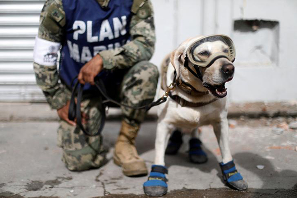 A member of the Mexican Navy stands next to a rescue dog after an earthquake struck on the southern coast of Mexico. Photo by Edgard Garrido