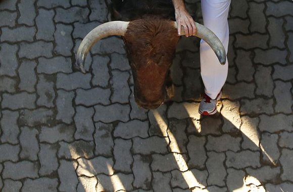 A runner grabs the horn of a Victoriano del Rio fighting bull as they sprint at the entrance to the bullring during the sixth running of the bulls of the San Fermin festival in Pamplona. Photo by Susana Vera