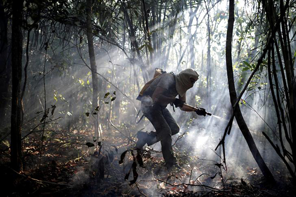  A volunteer works to put out a forest fire in an area of Chapada dos Veadeiros National Park, in Alto Paraiso, Goias, Brazil, October 24, 2017. Photo by Ueslei Marcelino 