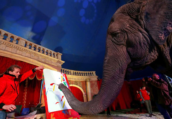  Sandra, a 42-year-old elephant, paints with her trunk in a Hungarian travelling circus of Florian Richter Circus in Budapest, Hungary. Photo by Laszlo Balogh 