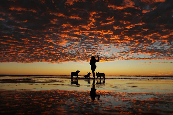  A woman plays with her three dogs at the beach after sun set in Del Mar, California, U.S. Photo by Mike Blake 