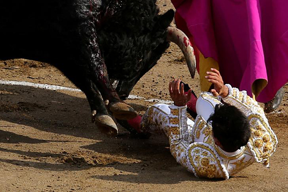  Venezuelan bullfighter Jose Enrique Colombo is tackled by a bull during a bullfight at Peru's historic Plaza de Acho bullring in Lima, Peru November 26, 2017. Photo by Guadalupe Pardo 