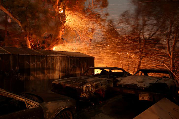  Embers blow from a tree shortly before it fell down near burned cars as strong winds push the Thomas Fire across thousands of acres near Santa Paula, California, U.S., December 5, 2017. Photo by David McNew 