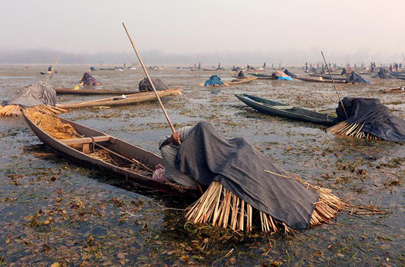  Fishermen cover their heads and part of their boats with blankets and straw as they wait to catch fish in the waters of the Anchar Lake on a cold winter day in Srinagar December 28, 2017. Photo by Danish Ismail 