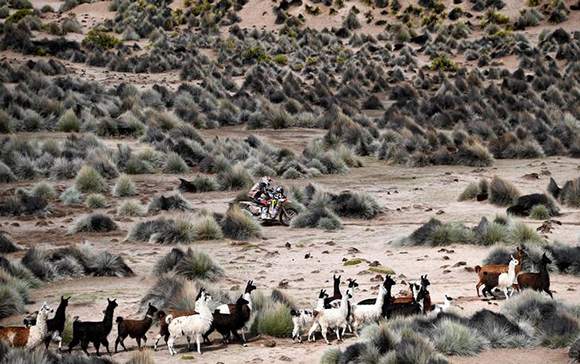  Dakar Rally - 2018 Peru-Bolivia-Argentina Dakar rally - 40th Dakar Edition stage seven, La Paz to Uyuni - January 13, 2018. Diego Martin Duplessis of Argentina drives his Honda. Photo by Franck Fife 