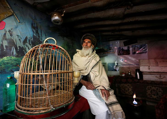  Mohammad Jan, 67, sits beside a cage of partridges in a shop at Ka Faroshi bird market in Kabul, Afghanistan, January 18, 2018. Photo by Mohammad Ismail 