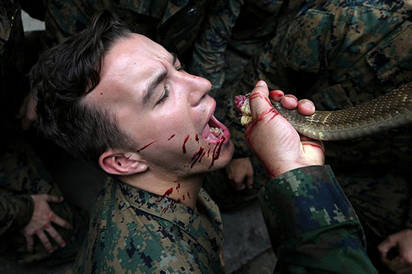  A U.S. Marine drinks the blood of a cobra during a jungle survival exercise as part of the "Cobra Gold 2018" (CG18) joint military exercise, at a military base in Chonburi province, Thailand, February 19, 2018. Photo by Athit Perawongmetha 